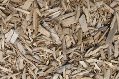 biomass boilers Brunstock